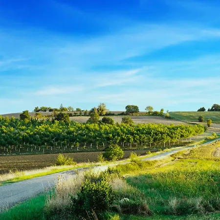Tarrit De Bas * Castelnau-dʼAuzan